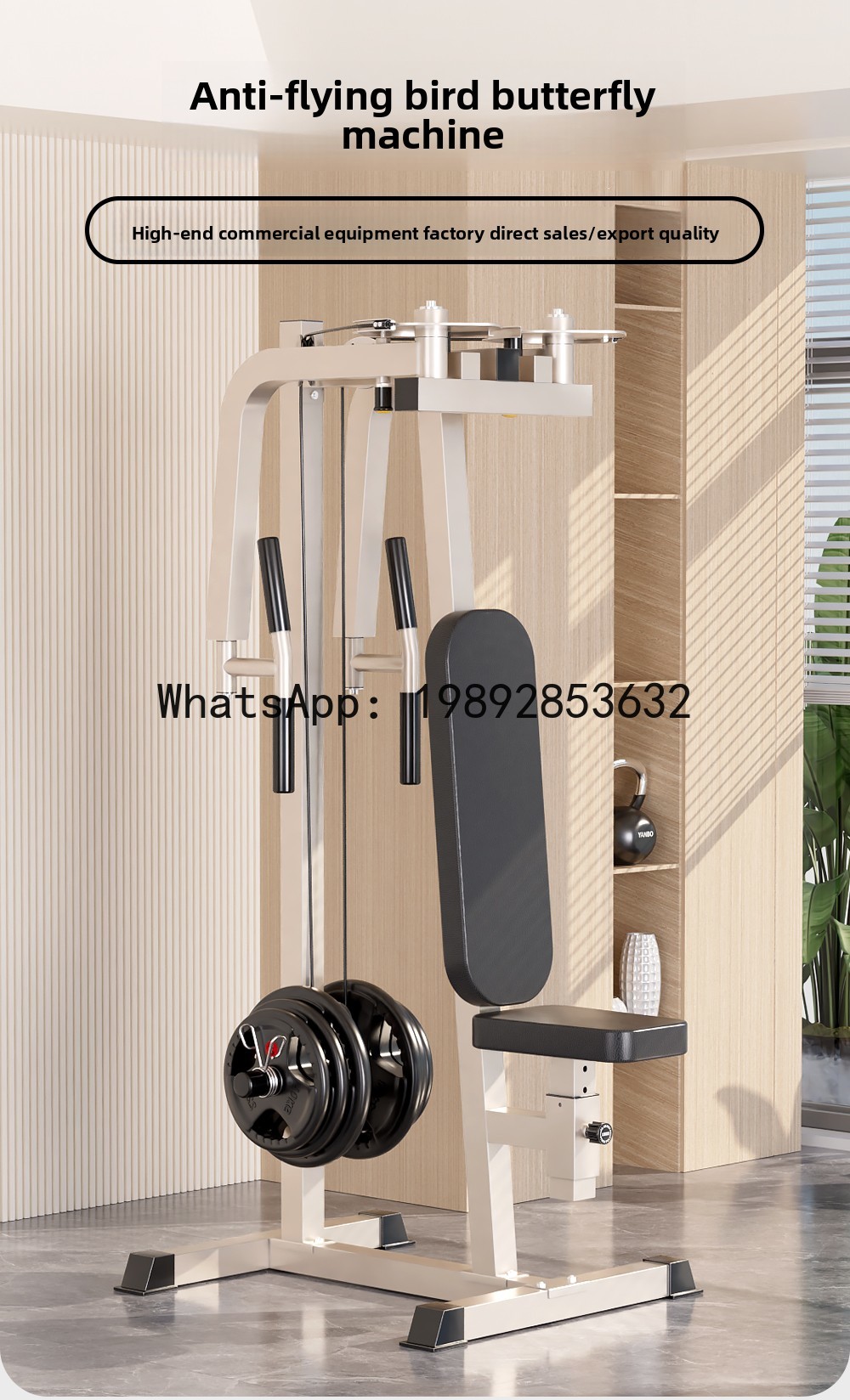 XL   Straight Arm Chest Traine - Home Gym Xl ulasan dan harga